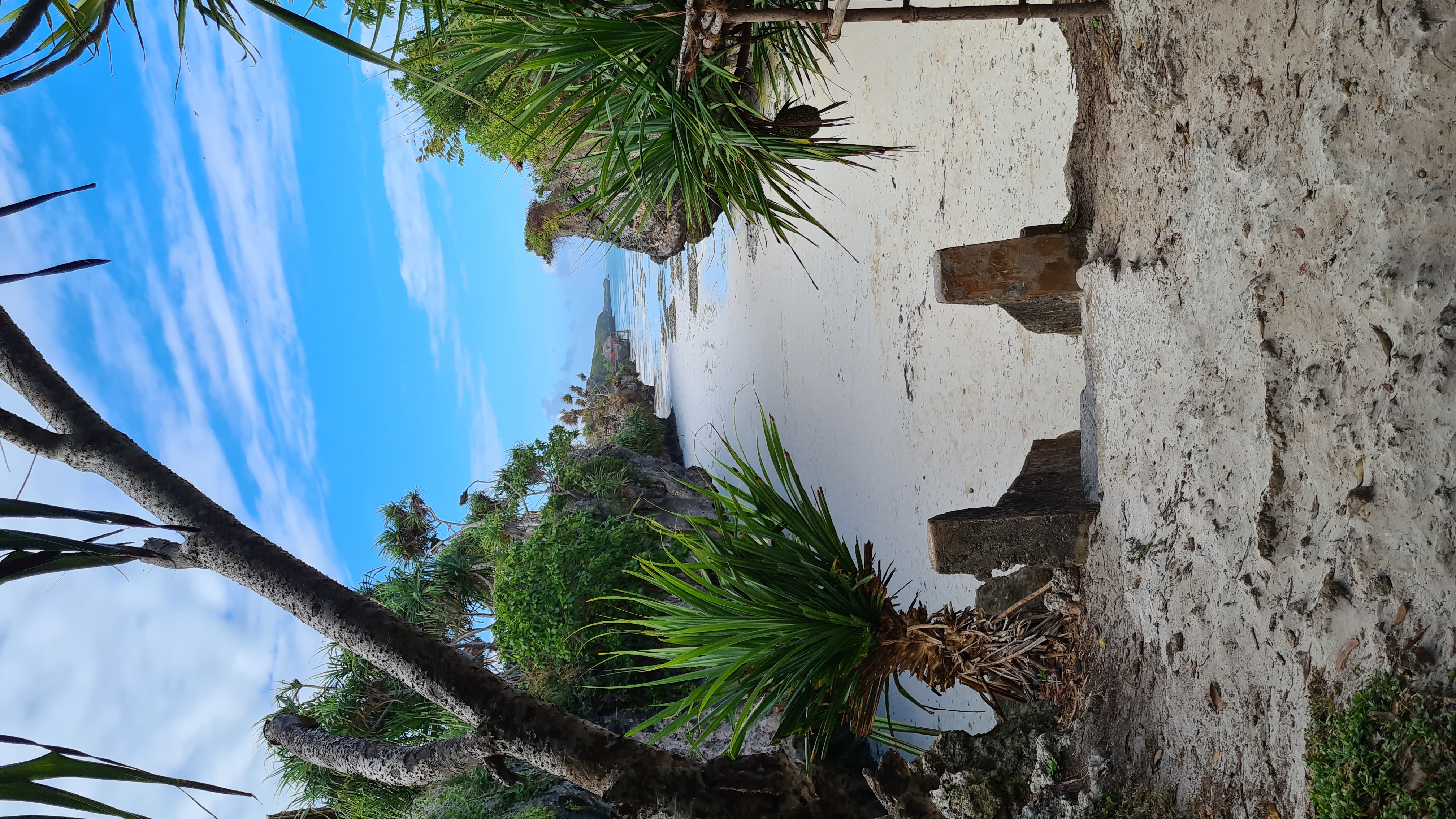 beach-zanzibar